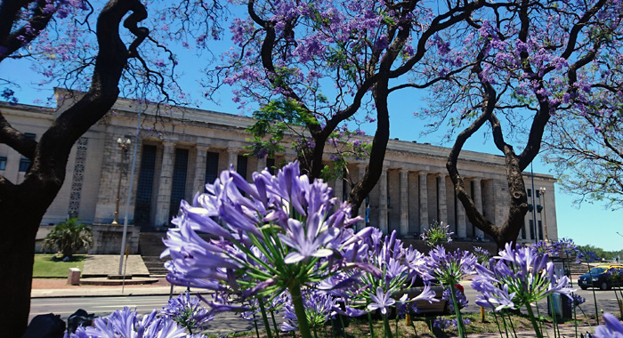 Entrada de la facultad de derecho